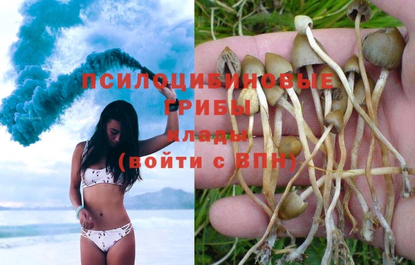 марки lsd Михайлов