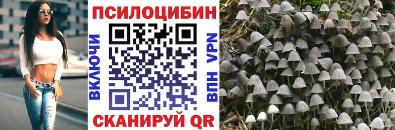 Галлюциногенные грибы MAGIC MUSHROOMS  купить наркотик  Чистополь 