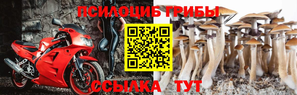 Псилоцибиновые грибы ЛСД Чистополь